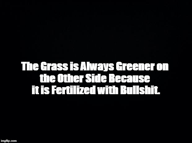 Black background | The Grass is Always Greener on 
the Other Side Because 
it is Fertilized with Bullshit. | image tagged in black background | made w/ Imgflip meme maker