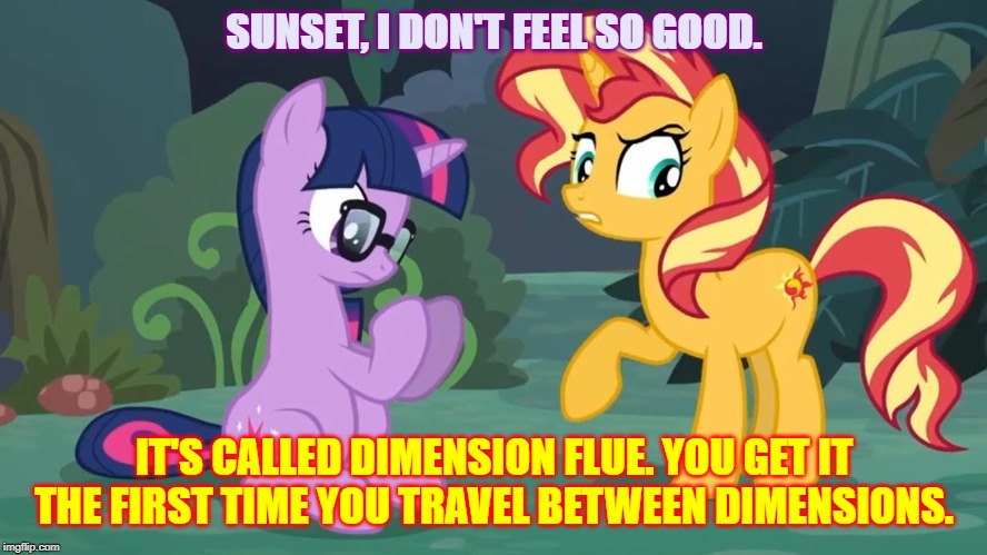 One Flue out of the Dimension. | SUNSET, I DON'T FEEL SO GOOD. IT'S CALLED DIMENSION FLUE. YOU GET IT THE FIRST TIME YOU TRAVEL BETWEEN DIMENSIONS. | image tagged in sci-twi's pony freak out | made w/ Imgflip meme maker