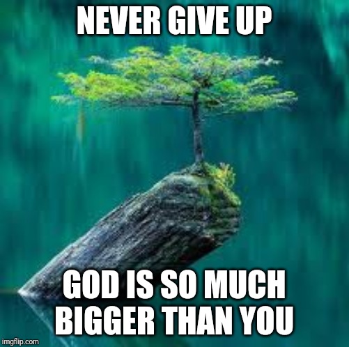 Never give up | NEVER GIVE UP; GOD IS SO MUCH BIGGER THAN YOU | image tagged in perseverance | made w/ Imgflip meme maker