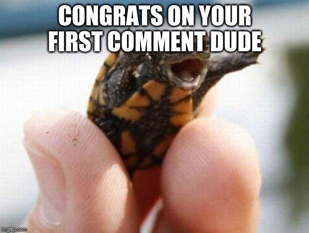 happy baby turtle | CONGRATS ON YOUR FIRST COMMENT DUDE | image tagged in happy baby turtle | made w/ Imgflip meme maker