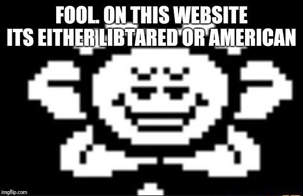 flowey the flower | FOOL. ON THIS WEBSITE ITS EITHER LIBTARED OR AMERICAN | image tagged in flowey the flower | made w/ Imgflip meme maker
