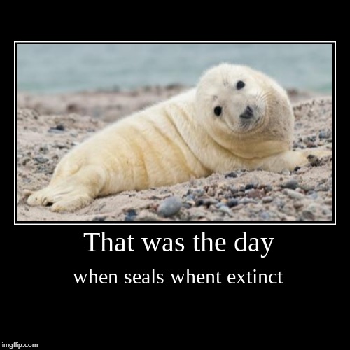 That was the day | when seals whent extinct | image tagged in funny,demotivationals | made w/ Imgflip demotivational maker