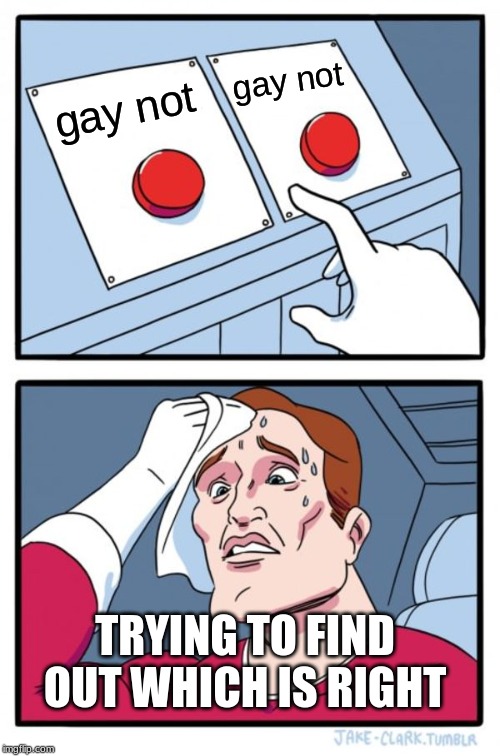 Two Buttons |  gay not; gay not; TRYING TO FIND OUT WHICH IS RIGHT | image tagged in memes,two buttons | made w/ Imgflip meme maker