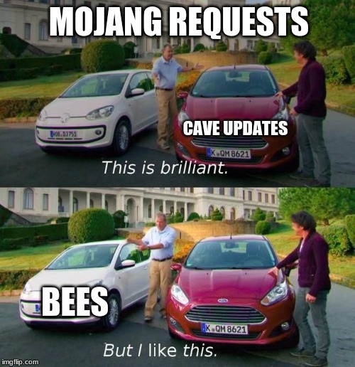 This Is Brilliant But I Like This | MOJANG REQUESTS; CAVE UPDATES; BEES | image tagged in this is brilliant but i like this | made w/ Imgflip meme maker