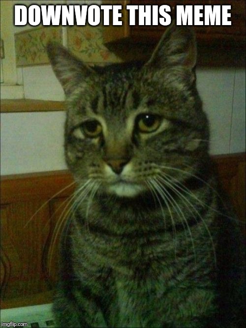 Depressed Cat | DOWNVOTE THIS MEME | image tagged in memes,depressed cat | made w/ Imgflip meme maker