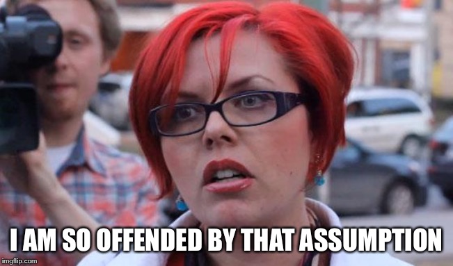 Angry Feminist | I AM SO OFFENDED BY THAT ASSUMPTION | image tagged in angry feminist | made w/ Imgflip meme maker