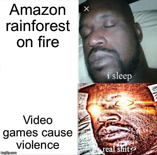 Sleeping Shaq Meme | Amazon rainforest on fire; Video games cause violence | image tagged in memes,sleeping shaq | made w/ Imgflip meme maker