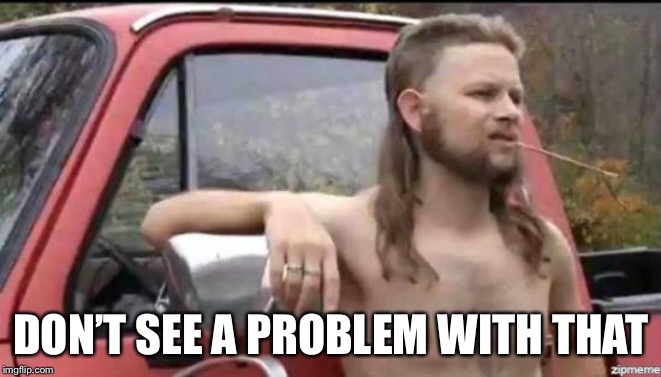 almost politically correct redneck | DON’T SEE A PROBLEM WITH THAT | image tagged in almost politically correct redneck | made w/ Imgflip meme maker