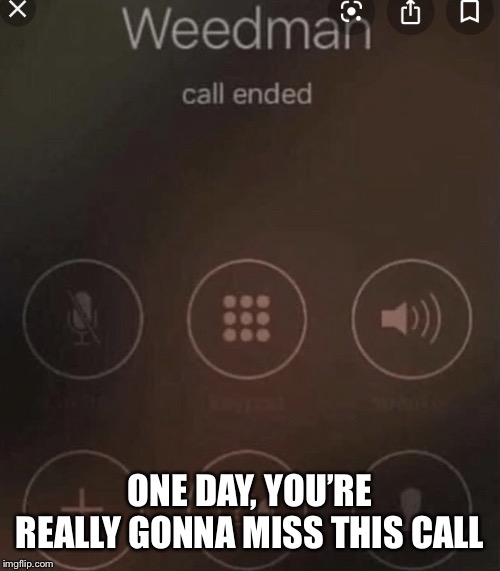Weed man | ONE DAY, YOU’RE REALLY GONNA MISS THIS CALL | image tagged in weed man | made w/ Imgflip meme maker