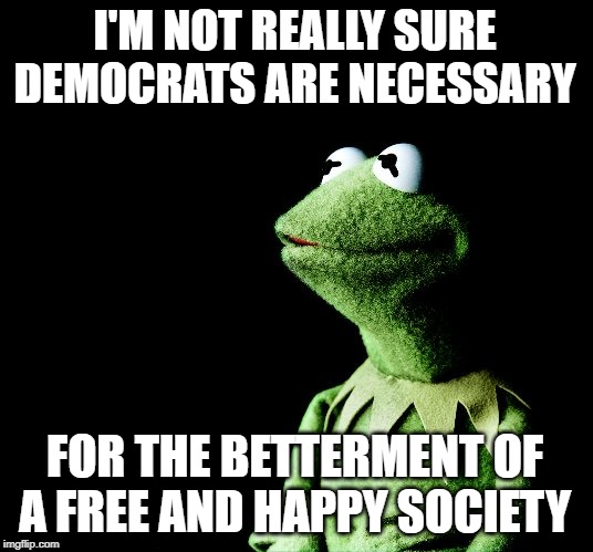 They're always so angry and bitter toward everyone. | I'M NOT REALLY SURE DEMOCRATS ARE NECESSARY; FOR THE BETTERMENT OF A FREE AND HAPPY SOCIETY | image tagged in contemplative kermit | made w/ Imgflip meme maker