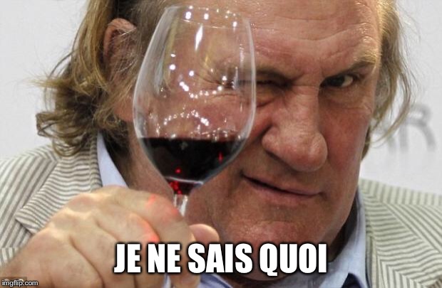 Gerard Depardieu | JE NE SAIS QUOI | image tagged in gerard depardieu | made w/ Imgflip meme maker