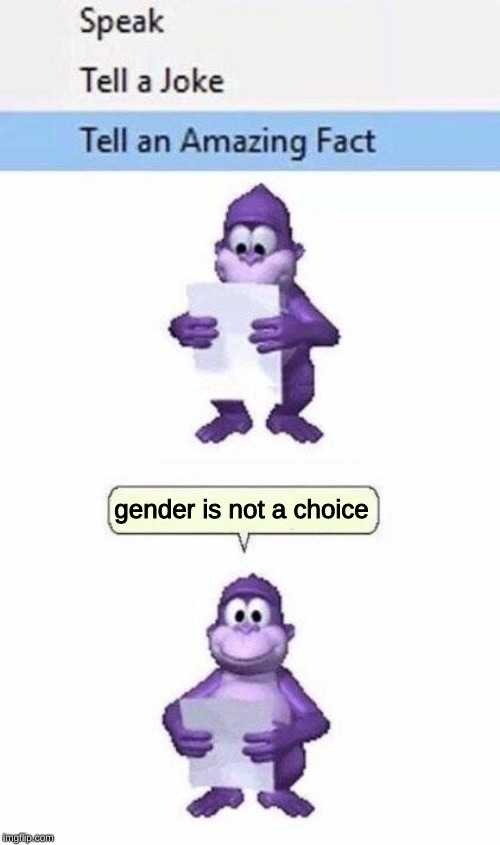 it's true | gender is not a choice | image tagged in bonzo tells an amazing fact,memes,bonzi buddy,gender | made w/ Imgflip meme maker