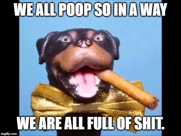 Triumph Comic To Poop On | WE ALL POOP SO IN A WAY; WE ARE ALL FULL OF SHIT. | image tagged in triumph comic to poop on | made w/ Imgflip meme maker