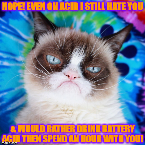 LSD GRUMPY | NOPE! EVEN ON ACID I STILL HATE YOU; & WOULD RATHER DRINK BATTERY ACID THEN SPEND AN HOUR WITH YOU! | image tagged in lsd grumpy | made w/ Imgflip meme maker