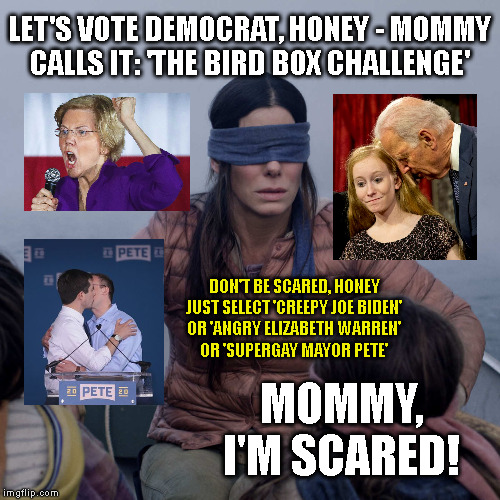 Bird Box Meme | LET'S VOTE DEMOCRAT, HONEY - MOMMY
CALLS IT: 'THE BIRD BOX CHALLENGE'; DON'T BE SCARED, HONEY
JUST SELECT 'CREEPY JOE BIDEN'
OR 'ANGRY ELIZABETH WARREN'
OR 'SUPERGAY MAYOR PETE'; MOMMY, I'M SCARED! | image tagged in memes,bird box | made w/ Imgflip meme maker