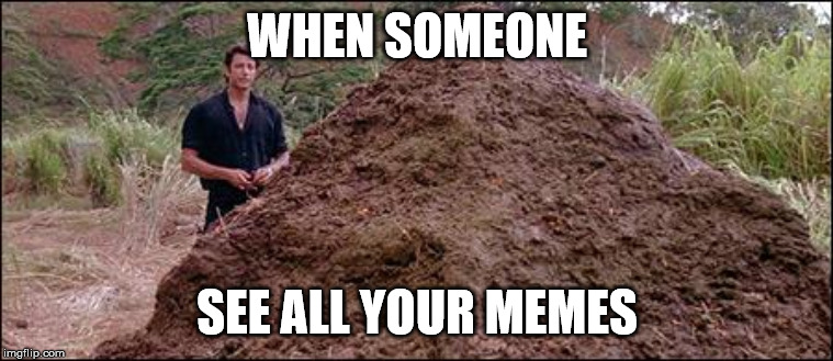 Big Pile Of Shit | WHEN SOMEONE; SEE ALL YOUR MEMES | image tagged in big pile of shit | made w/ Imgflip meme maker