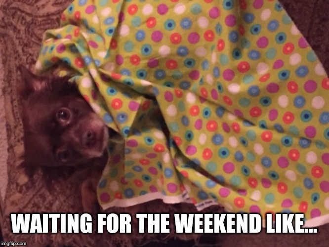 Weekend vibe | WAITING FOR THE WEEKEND LIKE... | image tagged in funny meme | made w/ Imgflip meme maker