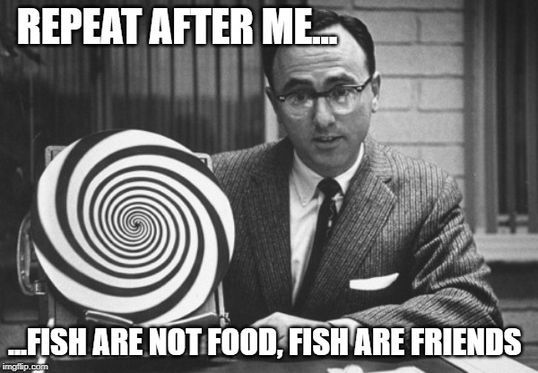 hypnotist | REPEAT AFTER ME... ...FISH ARE NOT FOOD, FISH ARE FRIENDS | image tagged in hypnotist | made w/ Imgflip meme maker