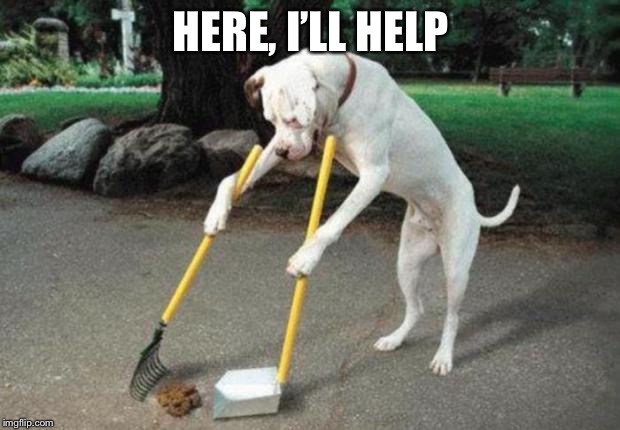 Dog poop | HERE, I’LL HELP | image tagged in dog poop | made w/ Imgflip meme maker