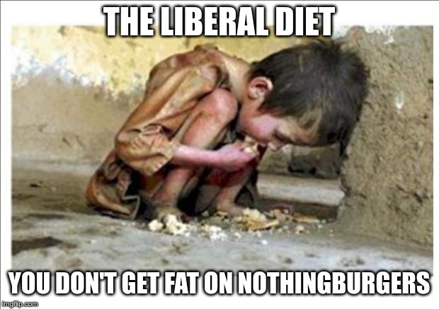 Starving child | THE LIBERAL DIET; YOU DON'T GET FAT ON NOTHINGBURGERS | image tagged in starving child | made w/ Imgflip meme maker