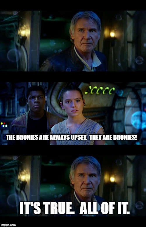 It's True All of It Han Solo Meme | THE BRONIES ARE ALWAYS UPSET.  THEY ARE BRONIES! IT'S TRUE.  ALL OF IT. | image tagged in memes,it's true all of it han solo | made w/ Imgflip meme maker