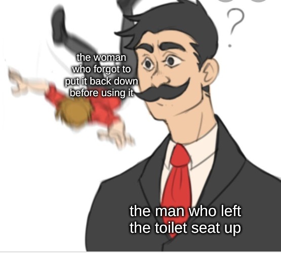 the woman who forgot to put it back down before using it; the man who left the toilet seat up | image tagged in life,memes | made w/ Imgflip meme maker