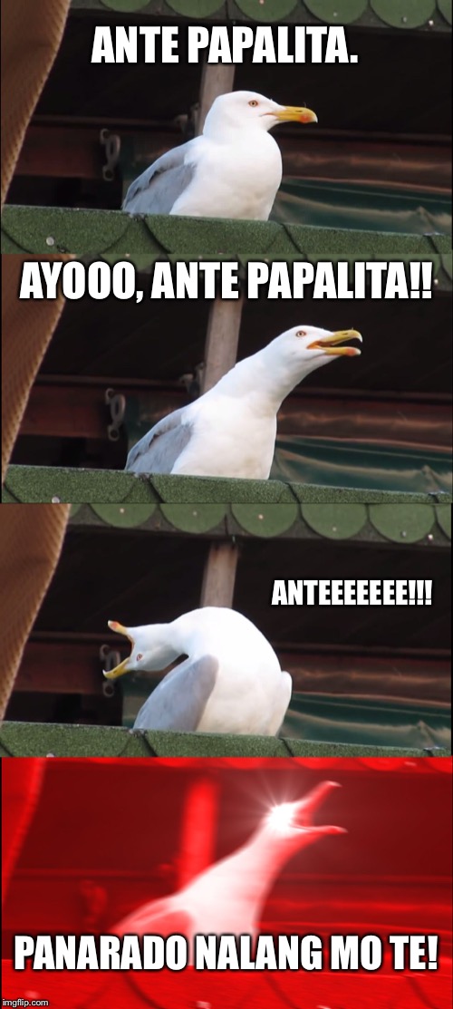 Inhaling Seagull Meme | ANTE PAPALITA. AYOOO, ANTE PAPALITA!! ANTEEEEEEE!!! PANARADO NALANG MO TE! | image tagged in memes,inhaling seagull | made w/ Imgflip meme maker
