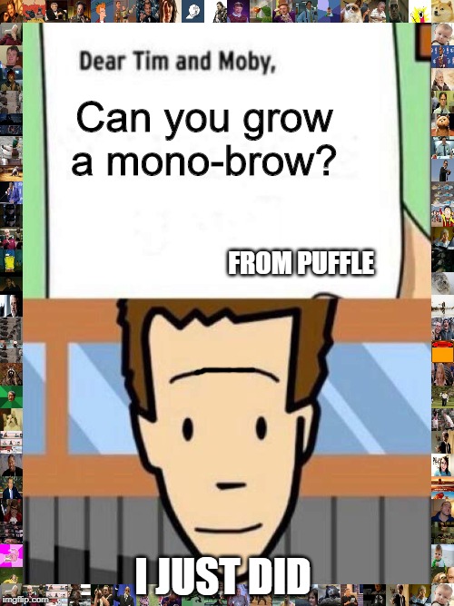 tim moby | Can you grow a mono-brow? FROM PUFFLE; I JUST DID | image tagged in tim moby | made w/ Imgflip meme maker