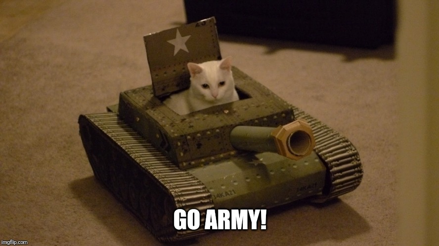 Cat tank | GO ARMY! | image tagged in cat tank | made w/ Imgflip meme maker