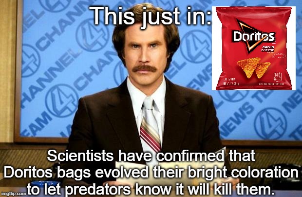 I stole this from The Onion, and I am not proud of it. | This just in:; Scientists have confirmed that Doritos bags evolved their bright coloration to let predators know it will kill them. | image tagged in breaking news | made w/ Imgflip meme maker