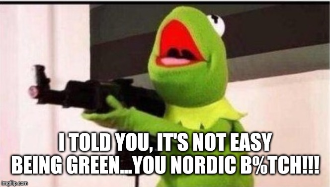 kermit with an ak47 | I TOLD YOU, IT'S NOT EASY BEING GREEN...YOU NORDIC B%TCH!!! | image tagged in kermit with an ak47 | made w/ Imgflip meme maker