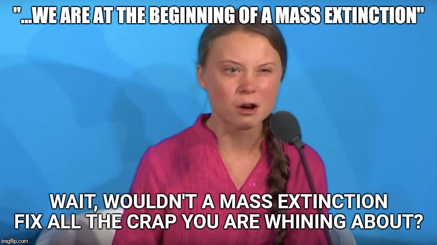 Why so upset? It'll all work itself out either way... | "...WE ARE AT THE BEGINNING OF A MASS EXTINCTION"; WAIT, WOULDN'T A MASS EXTINCTION FIX ALL THE CRAP YOU ARE WHINING ABOUT? | image tagged in climate change,hysterical,child,greta thunberg | made w/ Imgflip meme maker