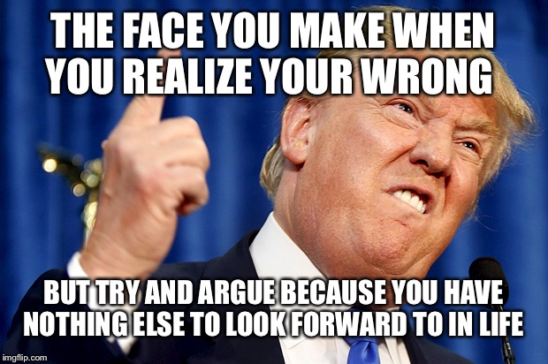 Donald Trump | THE FACE YOU MAKE WHEN YOU REALIZE YOUR WRONG; BUT TRY AND ARGUE BECAUSE YOU HAVE NOTHING ELSE TO LOOK FORWARD TO IN LIFE | image tagged in donald trump | made w/ Imgflip meme maker