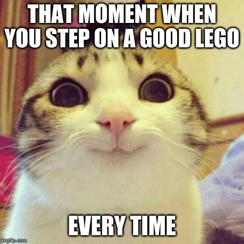 Smiling Cat Meme | THAT MOMENT WHEN YOU STEP ON A GOOD LEGO; EVERY TIME | image tagged in memes,smiling cat | made w/ Imgflip meme maker