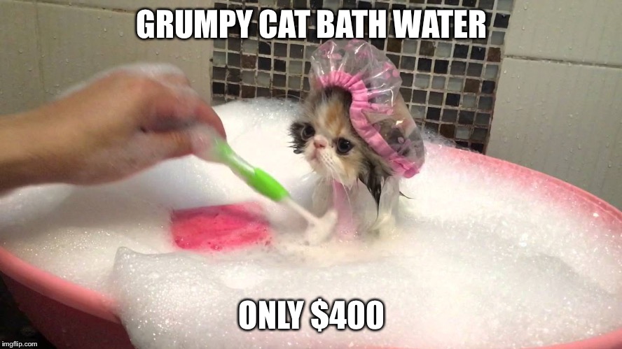 Grumpy cat bathing | GRUMPY CAT BATH WATER; ONLY $400 | image tagged in grumpy cat bathing | made w/ Imgflip meme maker