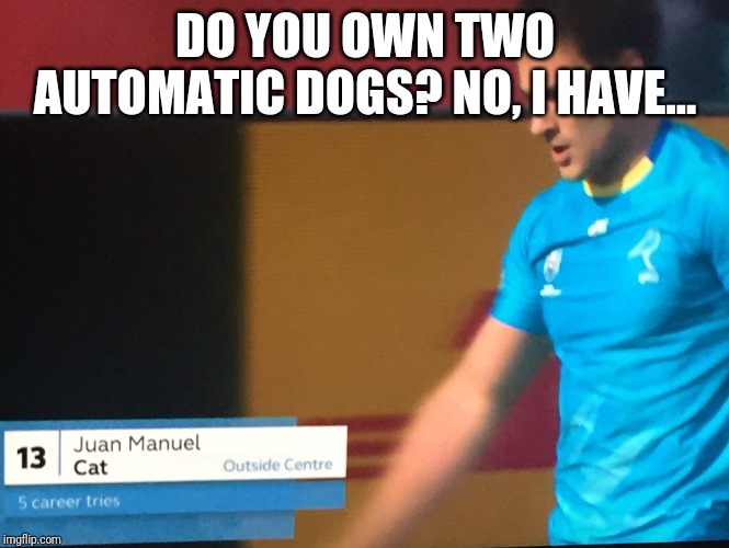 Juan Manuel Cat | DO YOU OWN TWO AUTOMATIC DOGS? NO, I HAVE... | image tagged in juan manuel cat | made w/ Imgflip meme maker