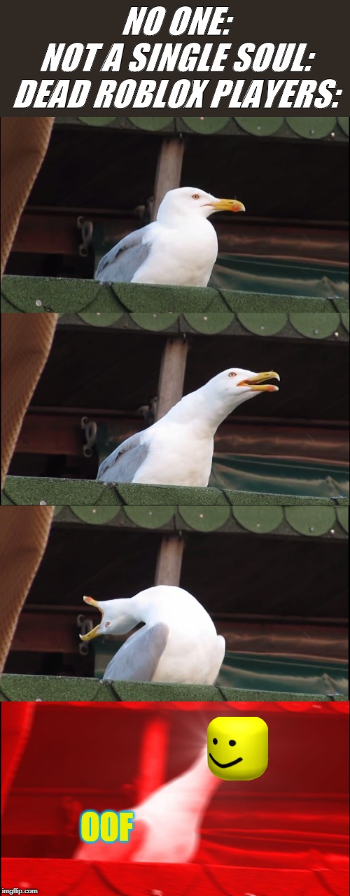 Inhaling Seagull Meme | NO ONE:
NOT A SINGLE SOUL:
DEAD ROBLOX PLAYERS:; OOF | image tagged in memes,inhaling seagull | made w/ Imgflip meme maker