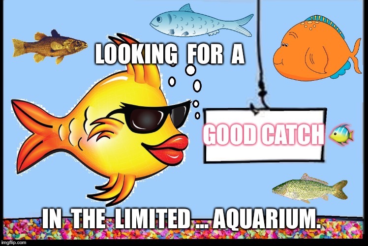 Good catch | image tagged in romance,relationship,fish,gone fishing,sea,ocean | made w/ Imgflip meme maker