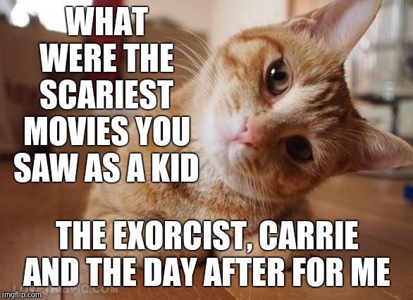 Curious Question Cat | WHAT WERE THE SCARIEST MOVIES YOU SAW AS A KID; THE EXORCIST, CARRIE AND THE DAY AFTER FOR ME | image tagged in curious question cat,movies | made w/ Imgflip meme maker