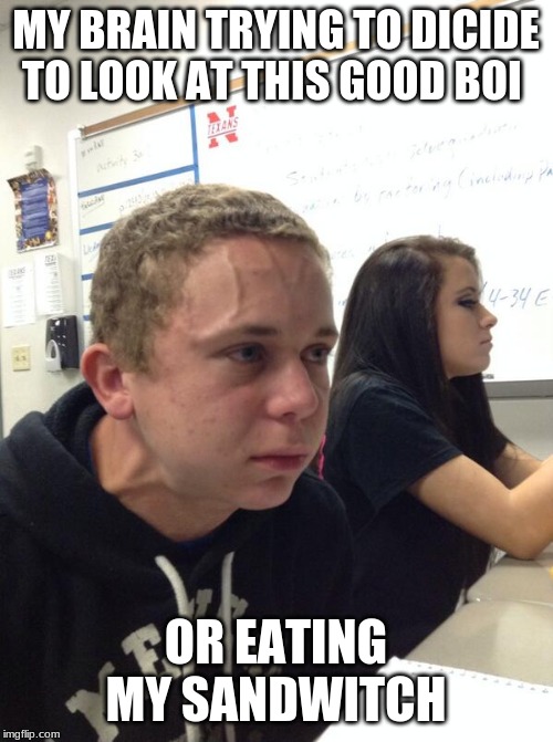 Hold fart | MY BRAIN TRYING TO DICIDE TO LOOK AT THIS GOOD BOI OR EATING MY SANDWITCH | image tagged in hold fart | made w/ Imgflip meme maker