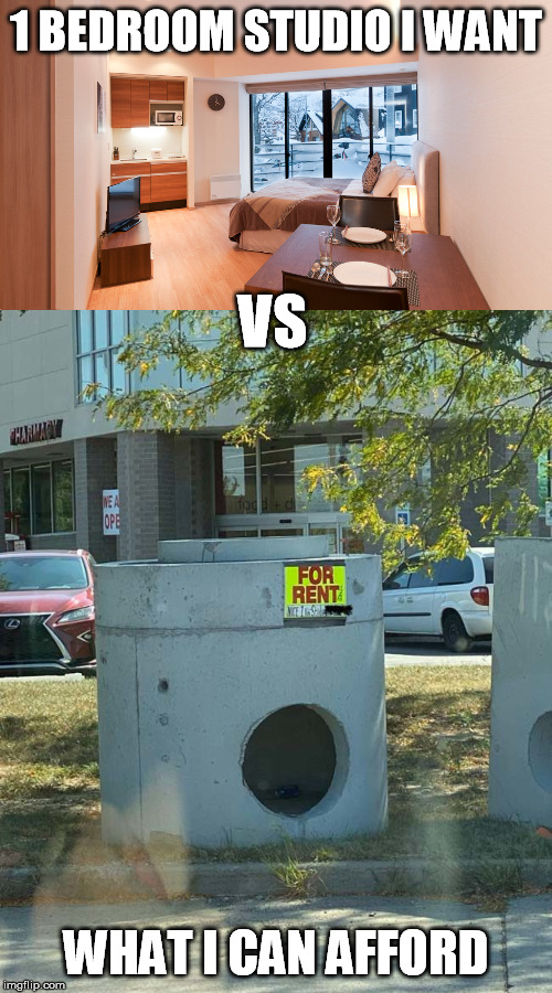 1 BEDROOM STUDIO I WANT; VS; WHAT I CAN AFFORD | image tagged in apartment,rent,expectation vs reality | made w/ Imgflip meme maker