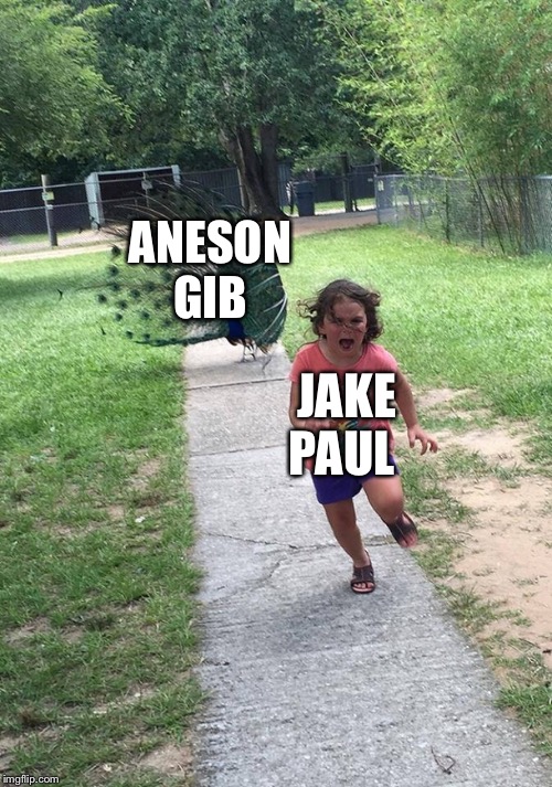 This fight will be epic | JAKE PAUL; ANESON GIB | image tagged in ksi | made w/ Imgflip meme maker