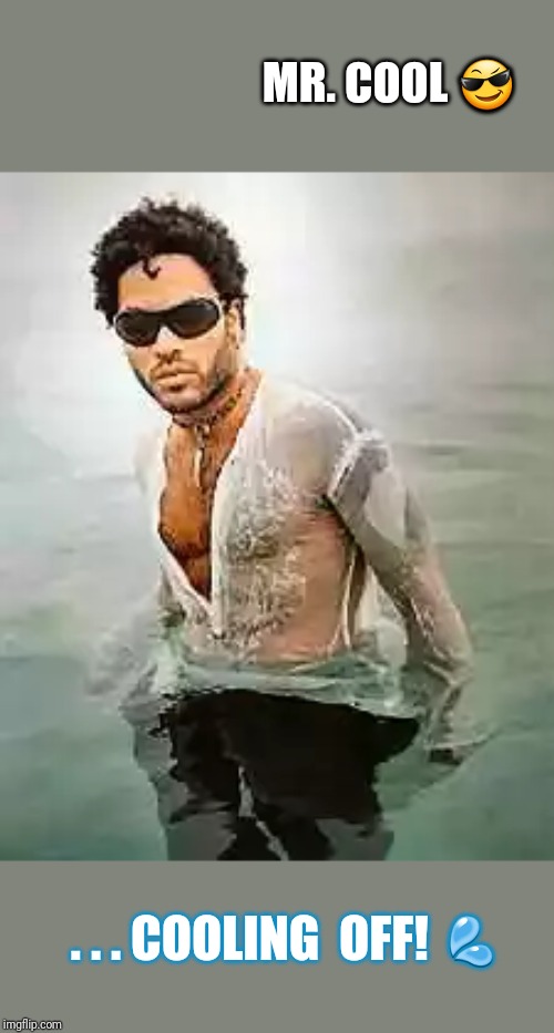 Lenny Kravitz is the coolest guy on the planet! | MR. COOL 😎; . . . COOLING  OFF! 💦 | image tagged in lenny kravitz,water,sexy,guy,legend,cool | made w/ Imgflip meme maker