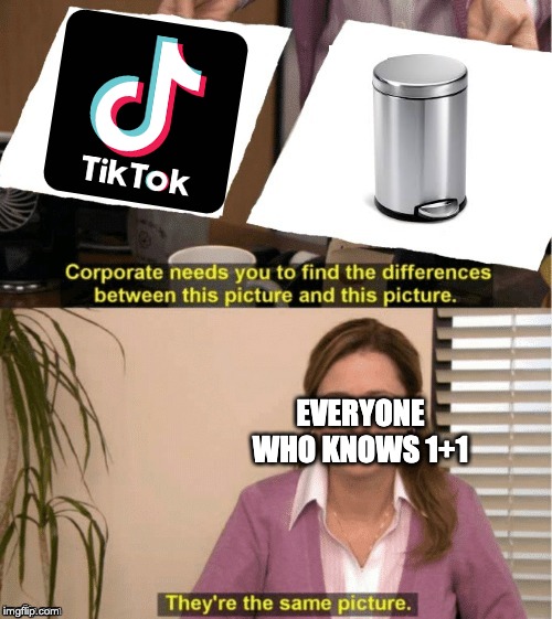 They're The Same Picture |  EVERYONE WHO KNOWS 1+1 | image tagged in office same picture | made w/ Imgflip meme maker