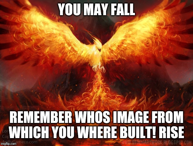 Ft Mac Phoenix | YOU MAY FALL; REMEMBER WHOS IMAGE FROM WHICH YOU WHERE BUILT! RISE | image tagged in ft mac phoenix | made w/ Imgflip meme maker