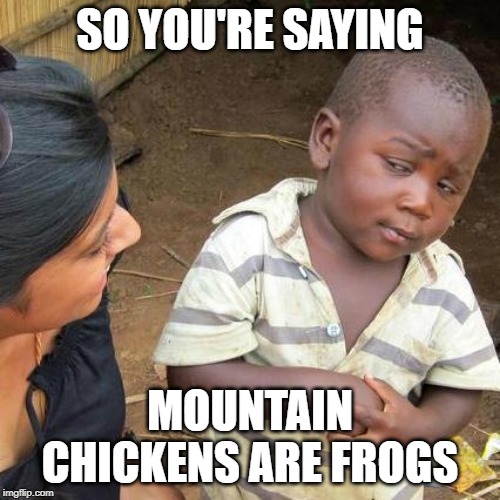 mountain chicken = frog | SO YOU'RE SAYING; MOUNTAIN CHICKENS ARE FROGS | image tagged in memes,third world skeptical kid | made w/ Imgflip meme maker