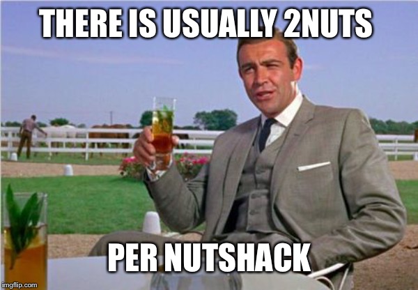 Sean Connery | THERE IS USUALLY 2NUTS PER NUTSHACK | image tagged in sean connery | made w/ Imgflip meme maker