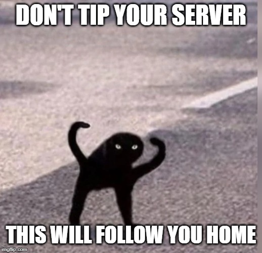 Cursed Cat | DON'T TIP YOUR SERVER; THIS WILL FOLLOW YOU HOME | image tagged in cursed cat | made w/ Imgflip meme maker