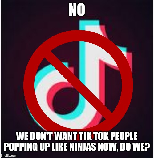 NO WE DON'T WANT TIK TOK PEOPLE POPPING UP LIKE NINJAS NOW, DO WE? | made w/ Imgflip meme maker