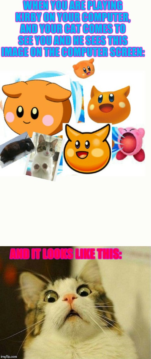 WHEN YOU ARE PLAYING KIRBY ON YOUR COMPUTER, AND YOUR CAT COMES TO SEE YOU AND HE SEES THIS IMAGE ON THE COMPUTER SCREEN:; AND IT LOOKS LIKE THIS: | image tagged in memes,scared cat | made w/ Imgflip meme maker